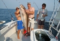 Amazing Amberjack - Deep Sea Fishing Amazing Amberjack - Deep Sea Fishing
