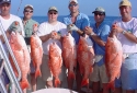 Deep Sea Fishing - Nice Red Snappers caught in Destin Deep Sea Fishing - Nice Red Snappers caught in Destin