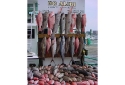 48 hr deep sea fishing charter in Destin