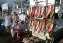12 hrs Nice groupers and snappers !!!