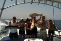 amberjackgroup amberjackgroup