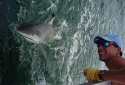 Destin Shark Fishing Charters