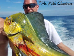 Destin Charter Fishing Boat No-Alibi Summer 2017 Snapper Cobia Grouper 00b