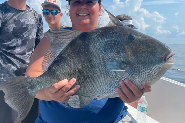 Fall Fishing in Destin - Triggerfish