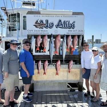 Grouper & Amberjack