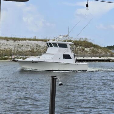 Expertise and Fishing Guidance