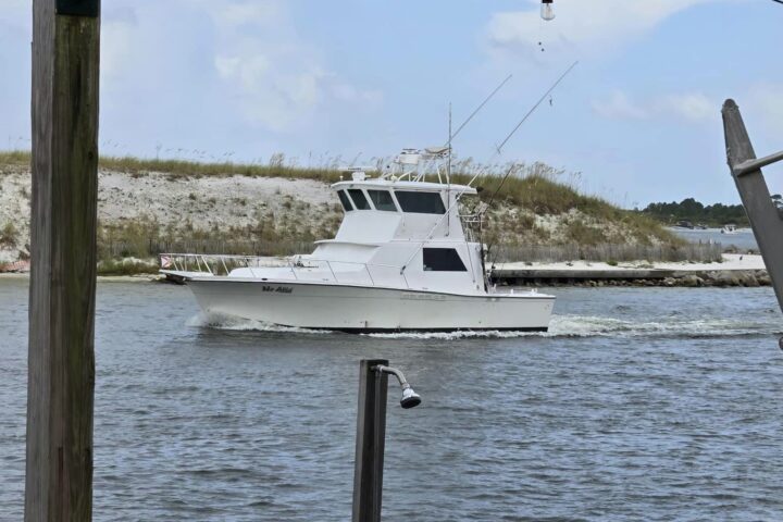 Summertime fishing